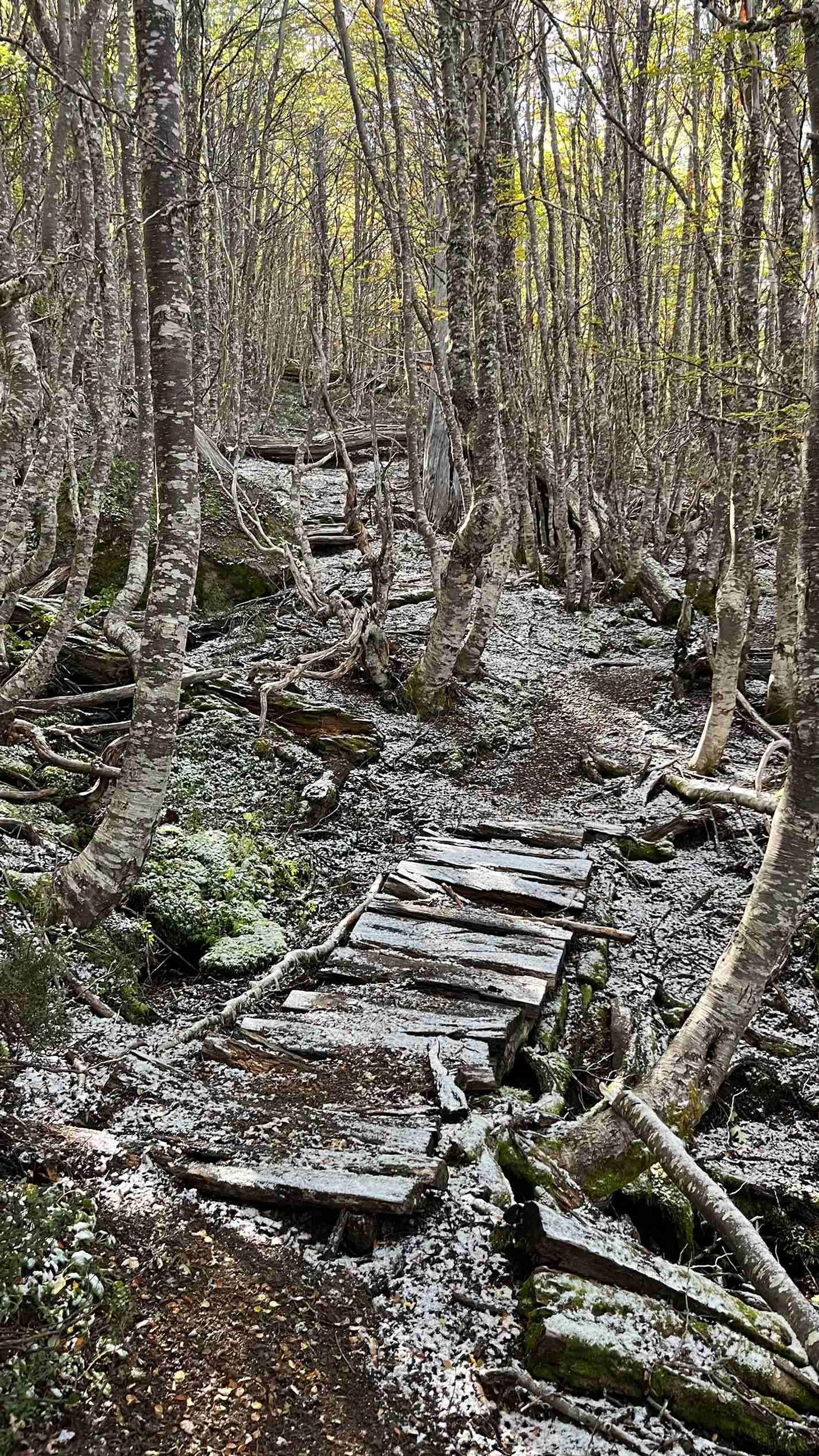 Senderismo Cerro Cinchao: Naturaleza y Tranquilidad de la Patagonia