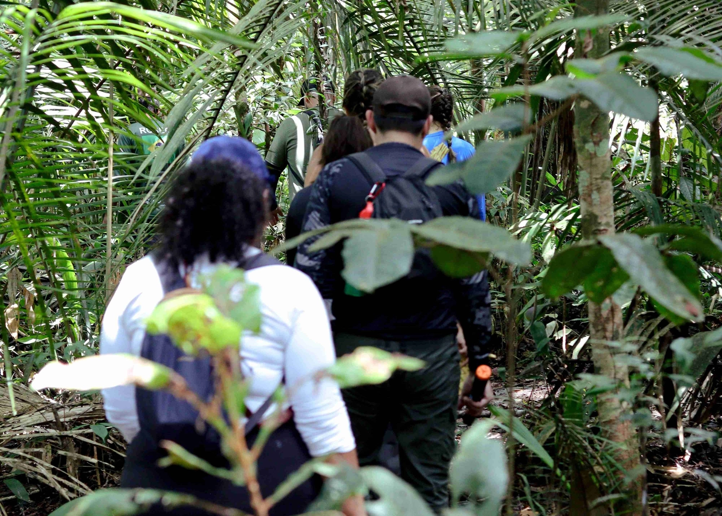 Picture 3