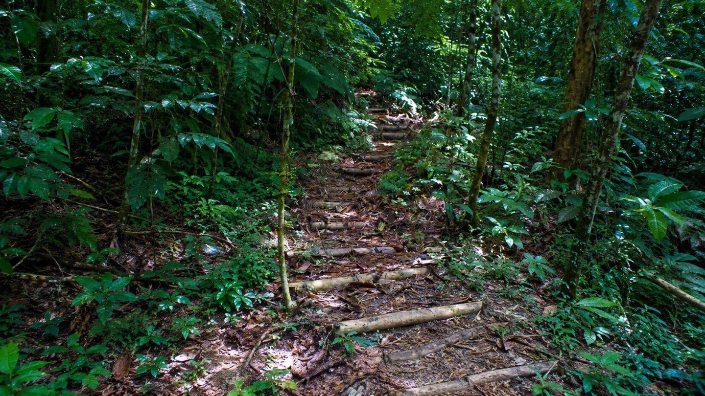 Picture 8