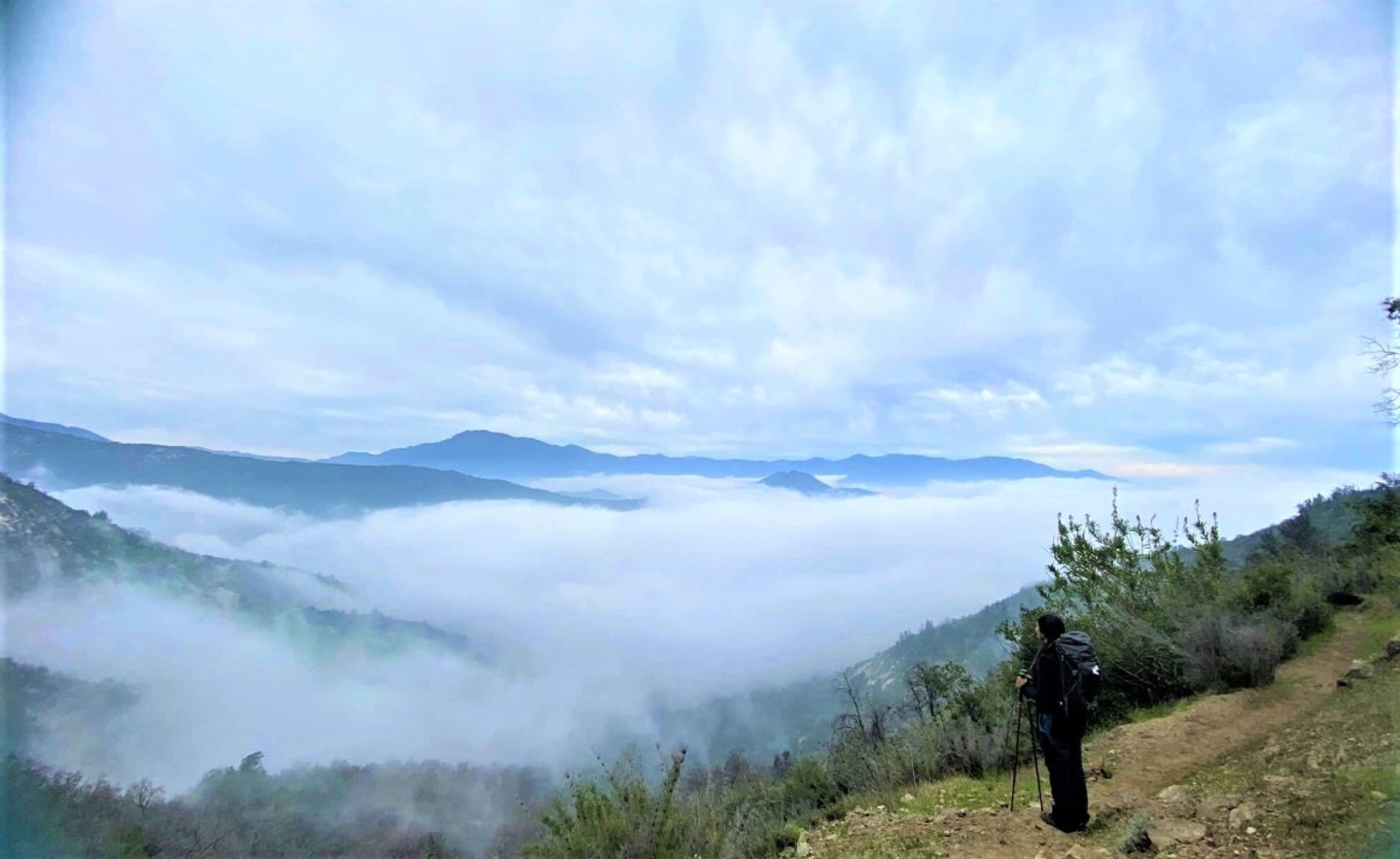 Trekking en el Parque Nacional La Campana: Sendero de Los Peumos