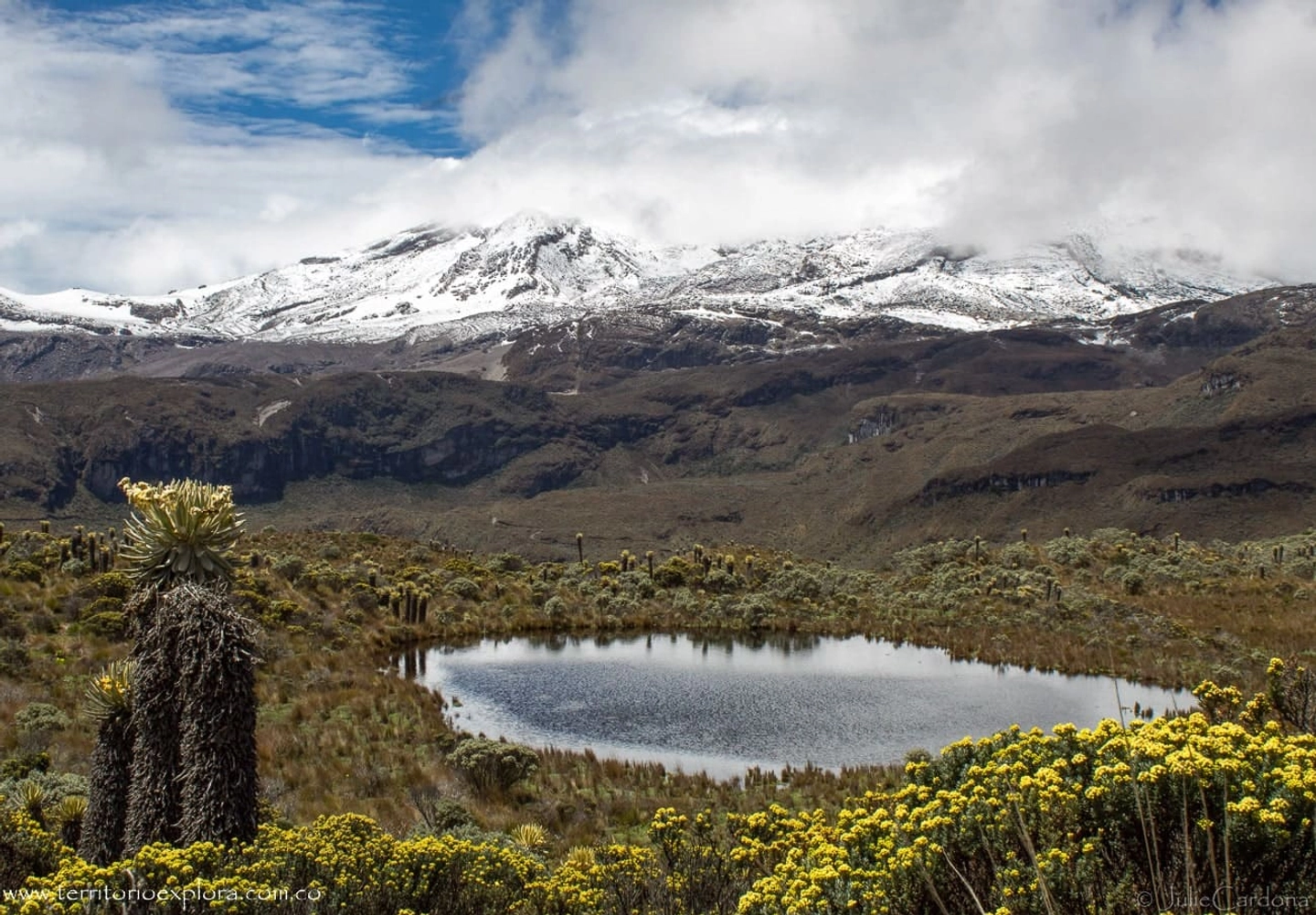 Pasadía Nevado del Ruiz