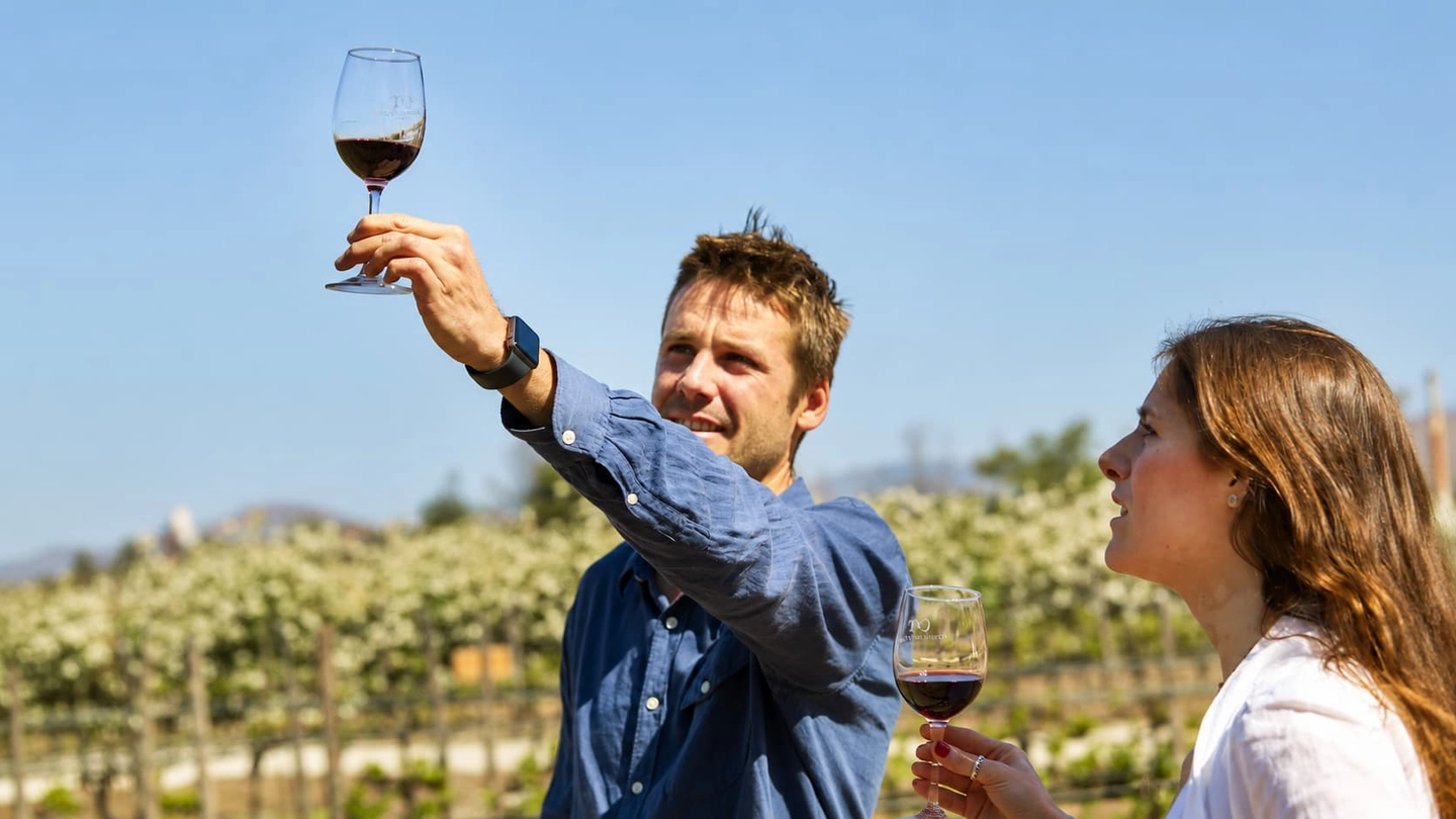 Visita Guiada Premium en Centro del Vino Concha y Toro