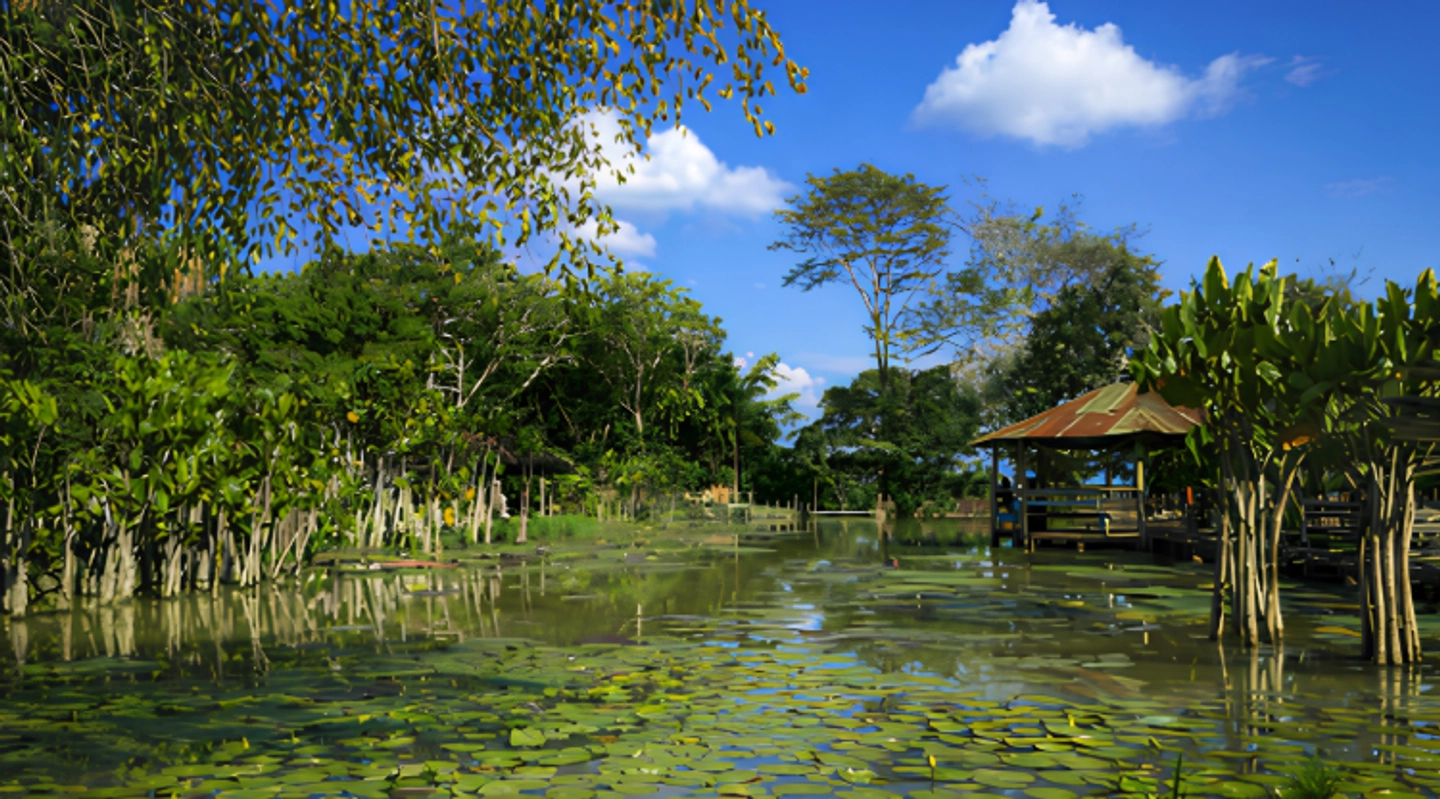 FULL DAY FAUNA AMAZÓNICA (LOW COST)