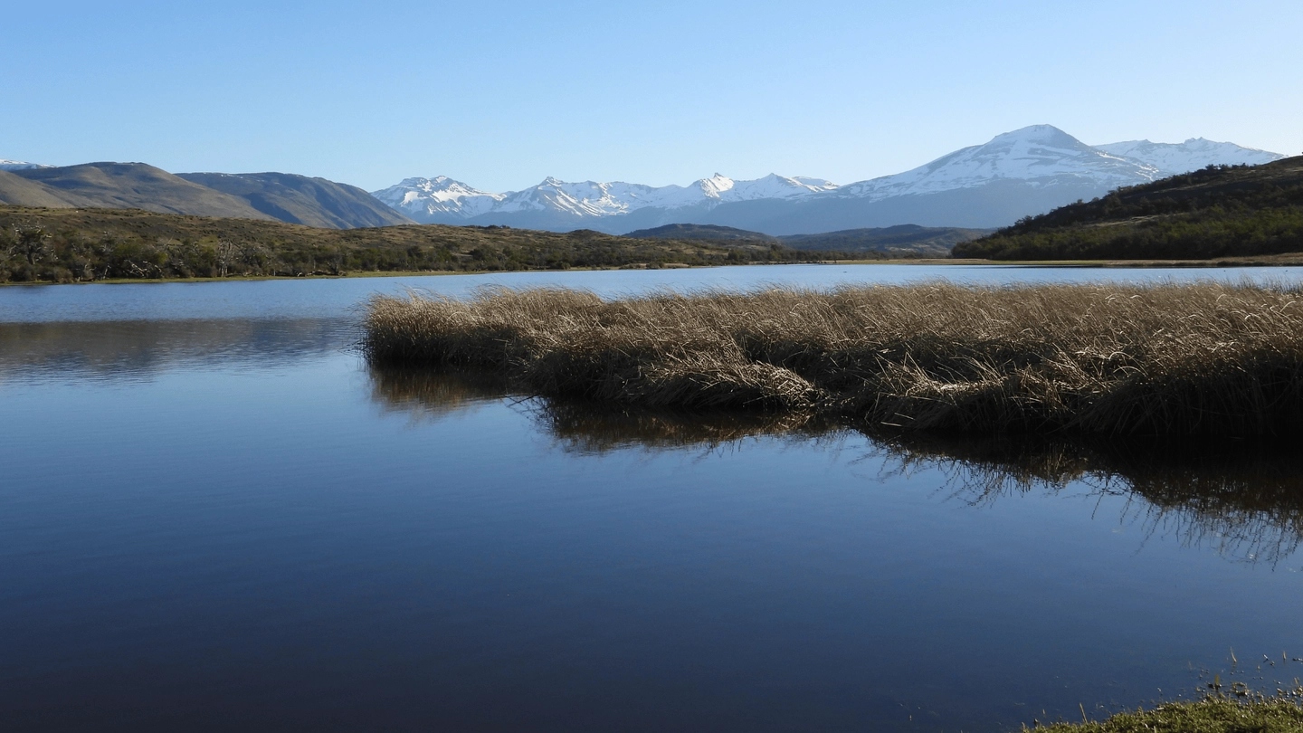 Birdwatching -Vega Castillo Ranch