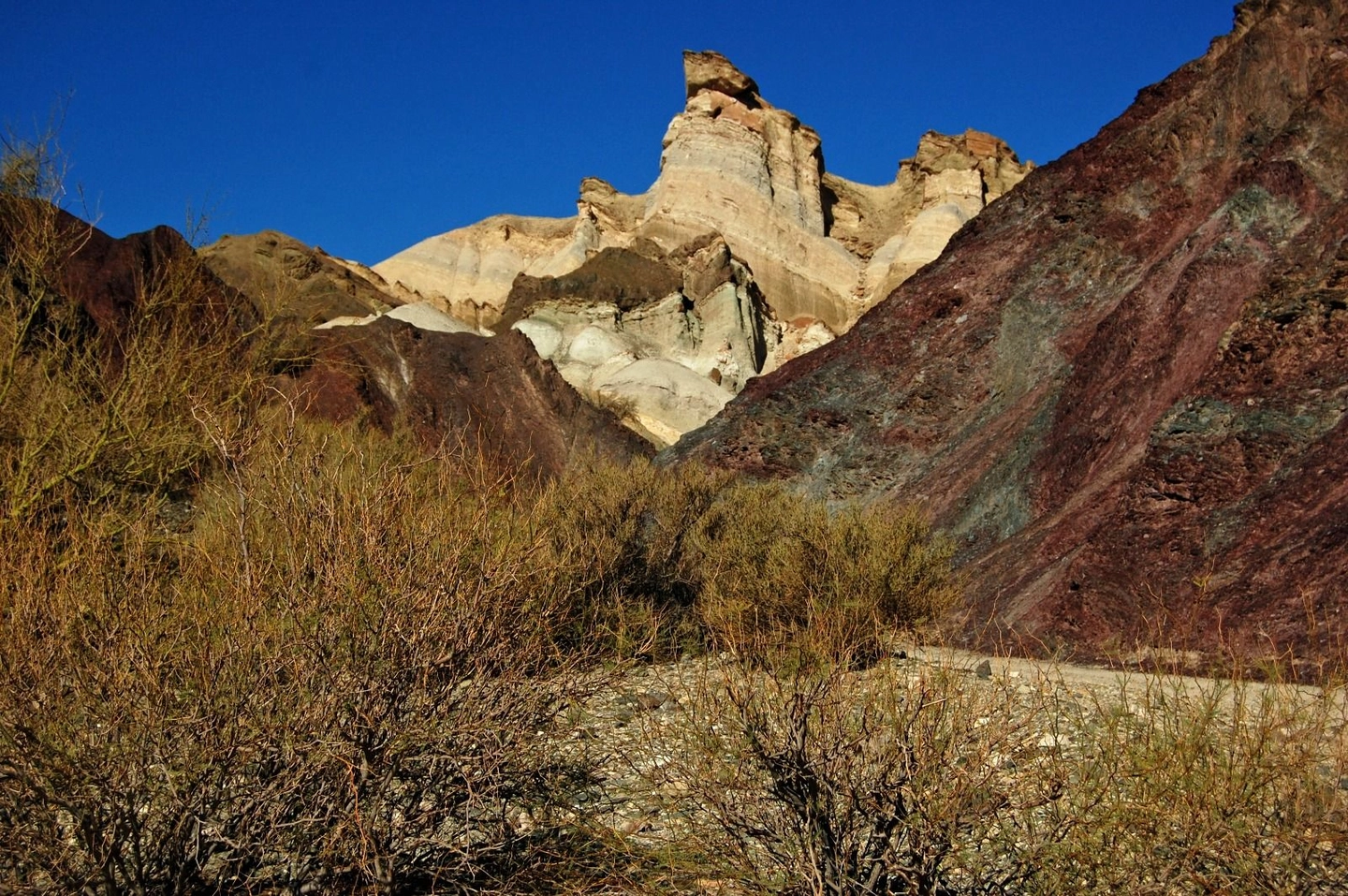 Excursión a Calingasta y Parque Nacional El Leoncito
