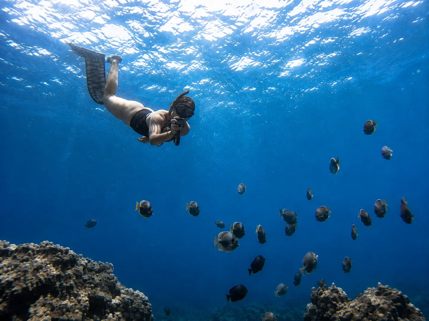 Snorkel en el Arrecife de Coral desde la Playa Ovahe o Anakena – Rapa Nui