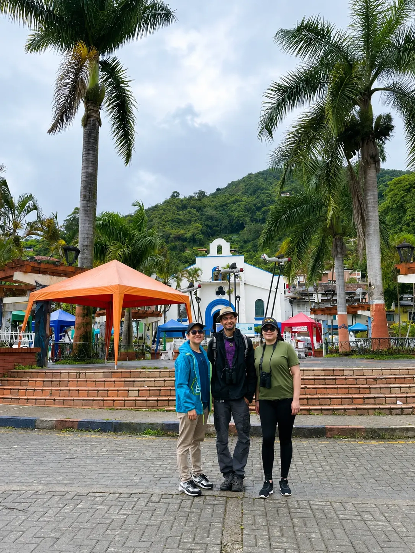 Pasadía: Tour del café