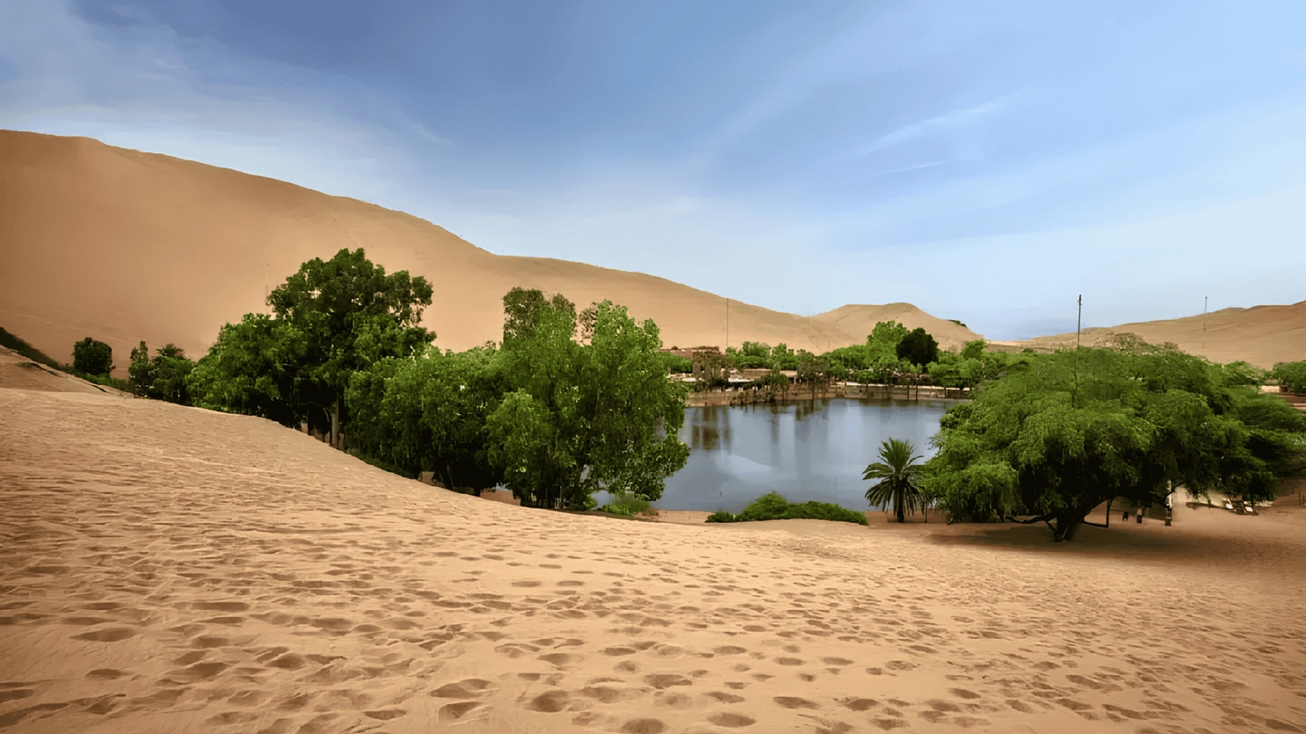 TOUR DROMEDARIOS + BODEGA VITIVINICOLA + BUGGIES & SANDBOARDING EN ICA: