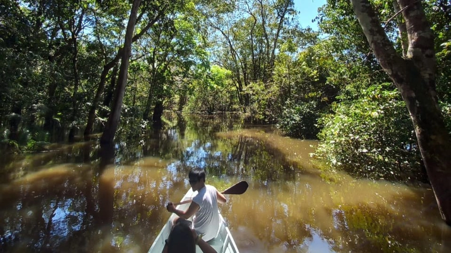 Caminhada pela Selva Amazónica e pelo Arquipélago de Anavilhanas