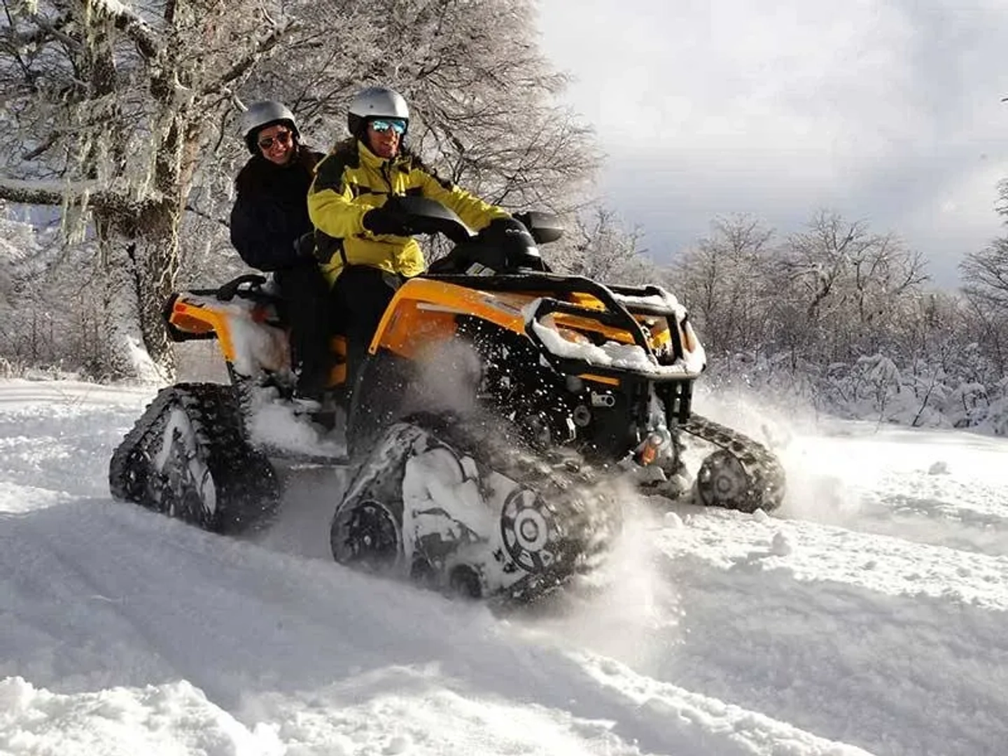 Picture 2