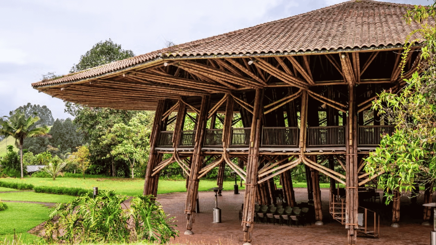 TOUR INMERSO EN LA NATURALEZA