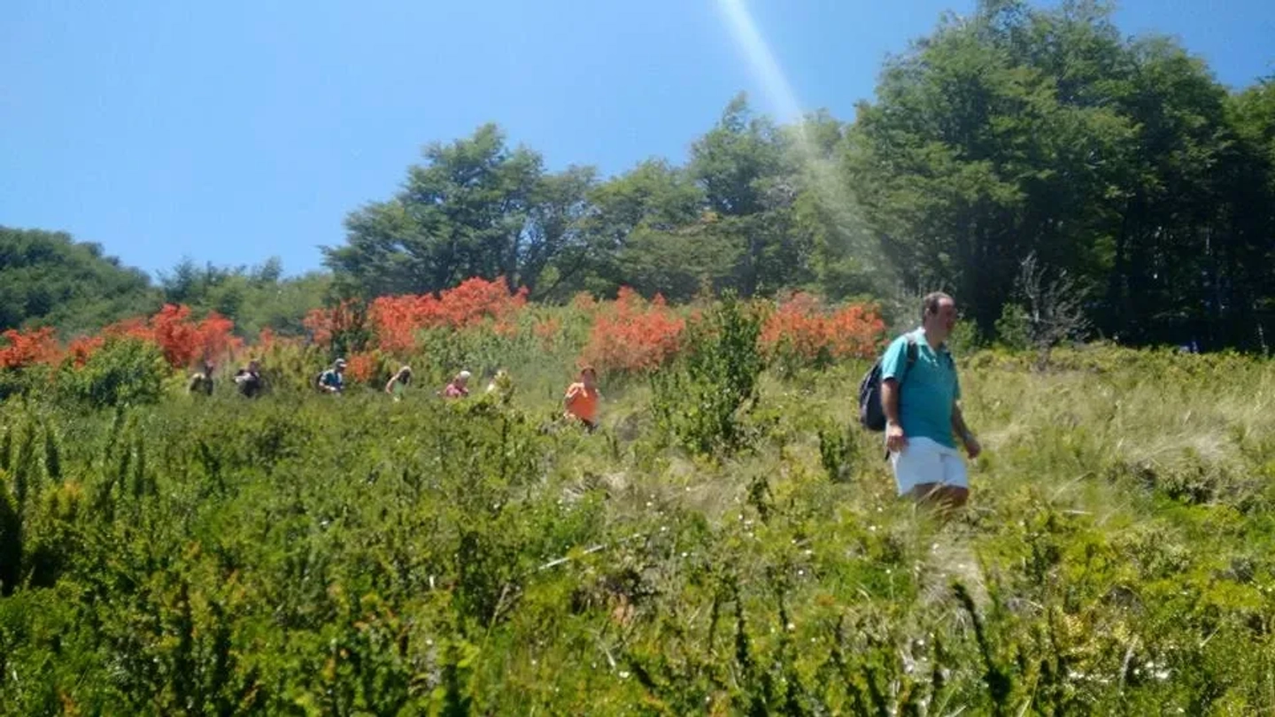 Trekking Guiado por Sendas en Villa La Angostura