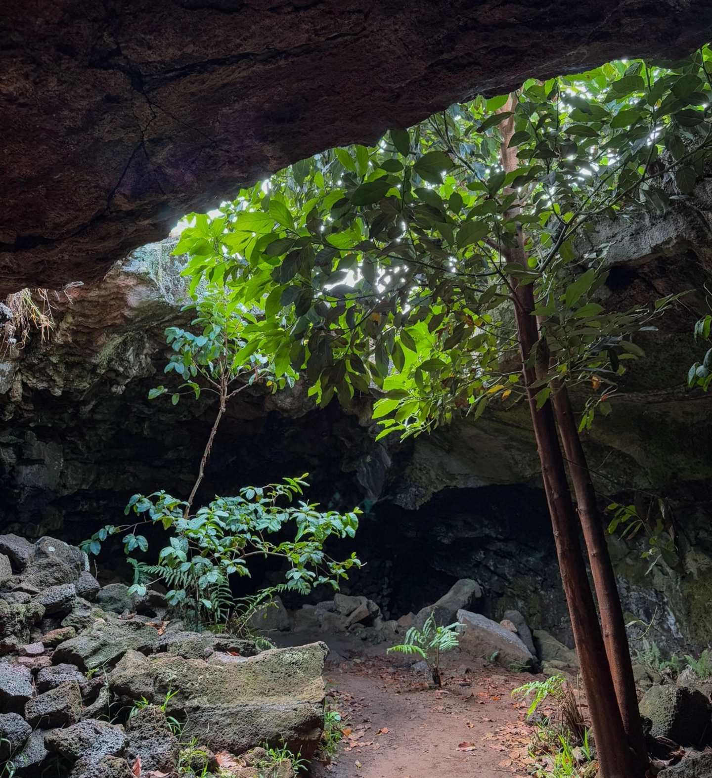 Trekking en Ana Te Pahu: Explorando las Cuevas de Rapa Nui