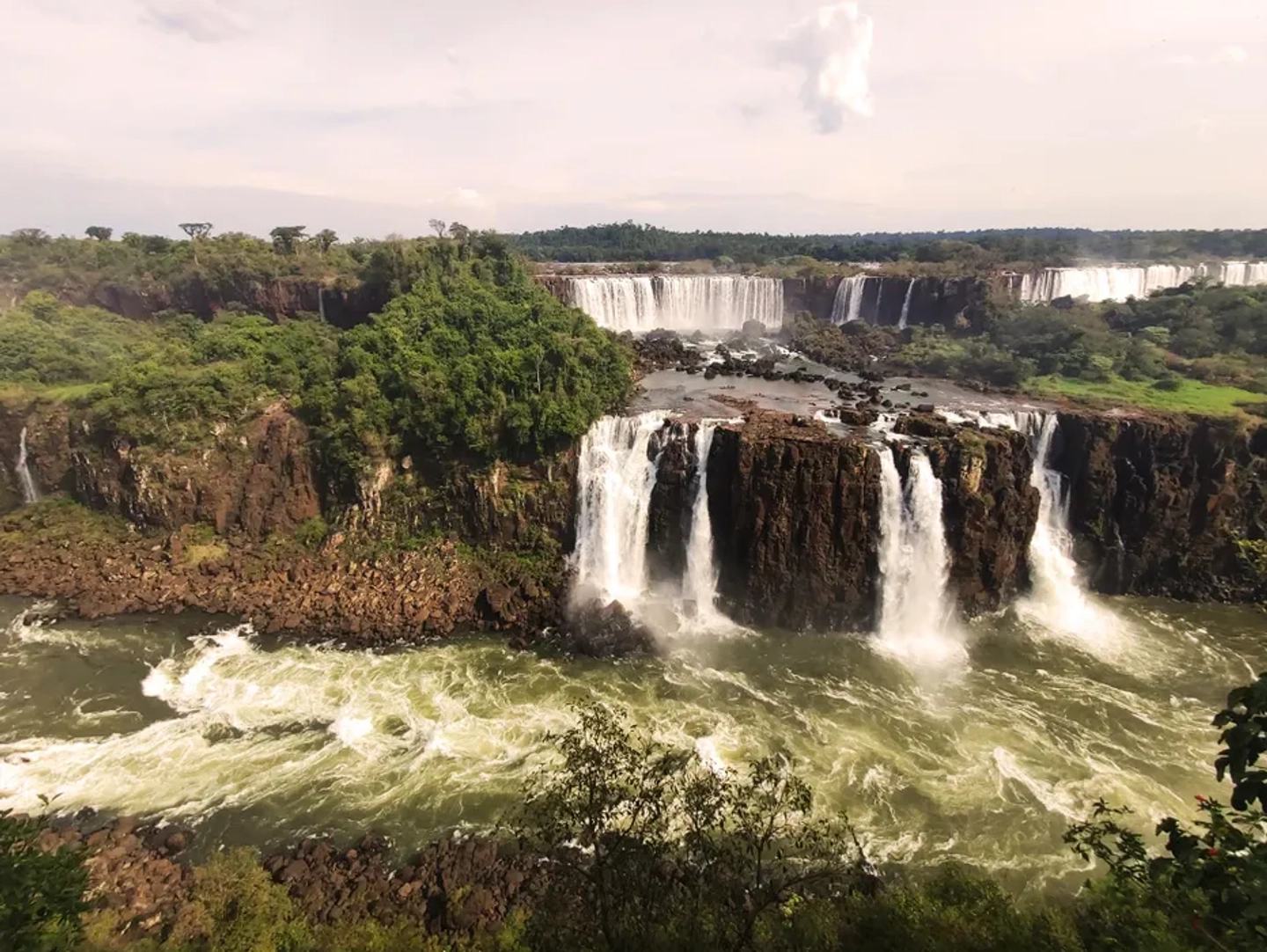 Entrada Macuco Safari en Foz do Iguaçu con recorrido selva y cataratas