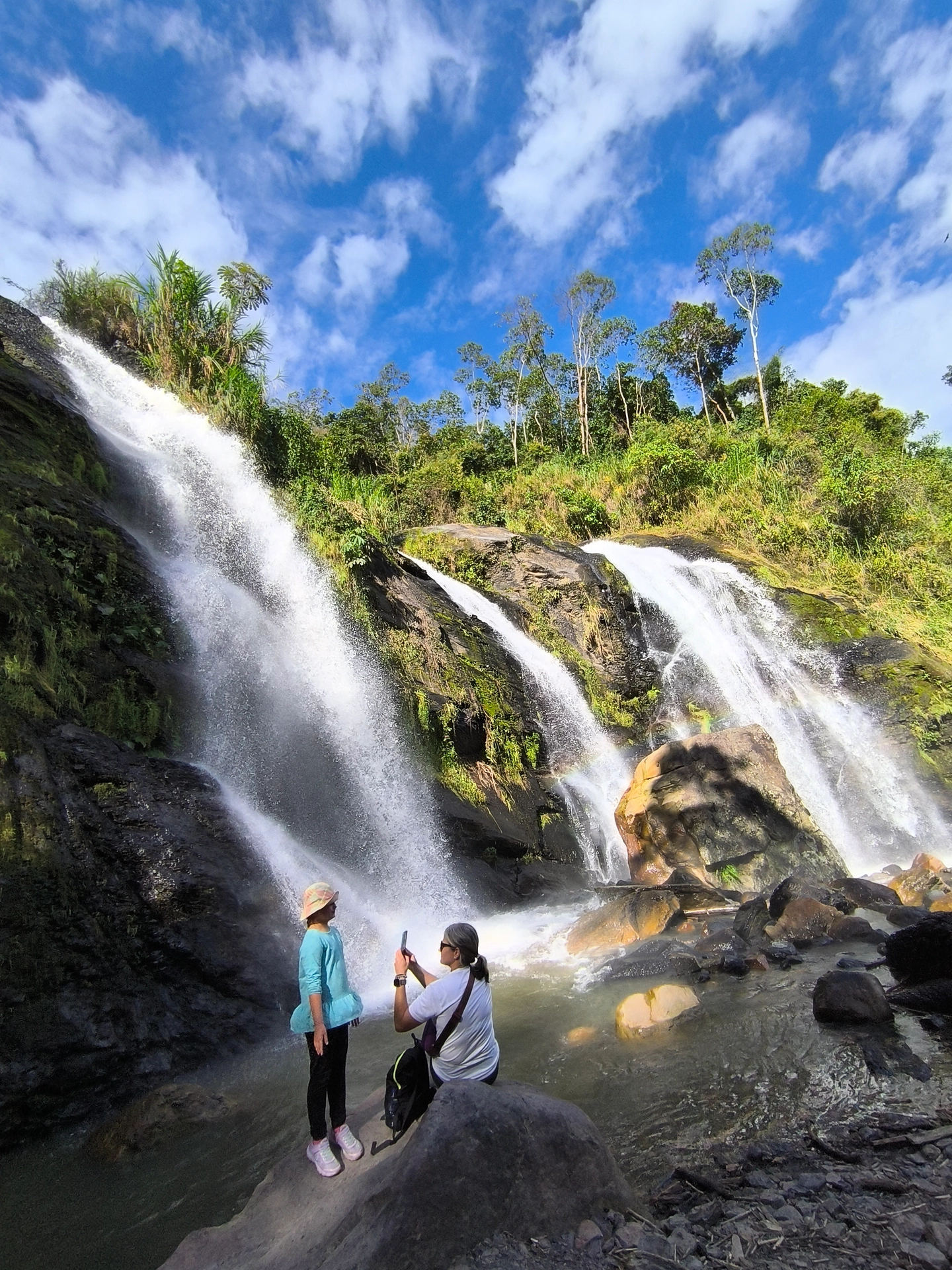 ORGANIC COFFEE FARM TOUR